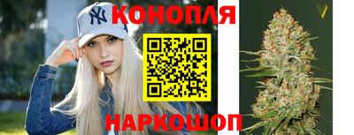 индика Лесосибирск