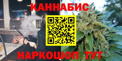 индика Лесосибирск
