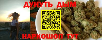 индика Лесосибирск