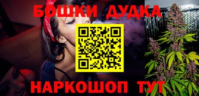 индика Лесосибирск