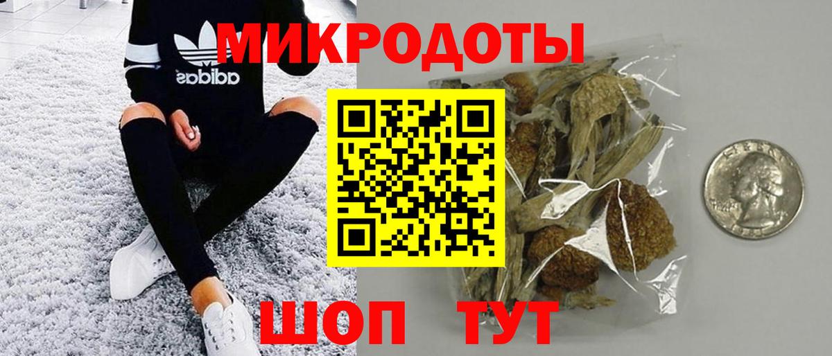 Псилоцибиновые грибы Psilocybine cubensis  Вход с VPN  Чебаркуль 